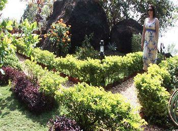 Hawaii-the Sea-side Village Retreat,goa Hotel Panaji